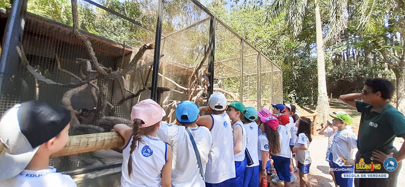 Saída Pedagógica - ZooParque de Itatiba (2º ano) - Educan...