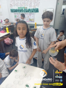 Complemento turma da tarde experimento colaa - 1 ano (15 de ...