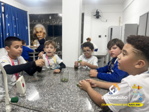 Experimento - 4º ano-1