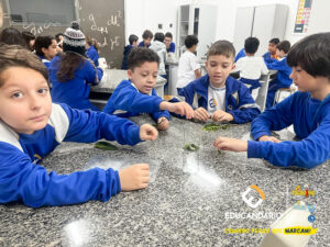 Experimento - 4º ano-14