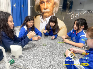 Experimento - 4º ano-16