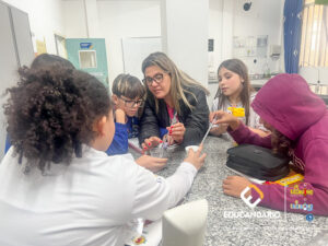Experimento - 5º ano-10