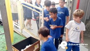 Dinamica pedrinhas Líder.-1