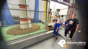 Dinamica pedrinhas Líder.-4