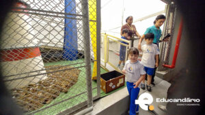 Dinamica pedrinhas Líder.-6