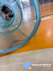 1ª Semana de aula Educandinho-11