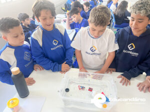 Afunda ou Flutua - 5º ano-6320