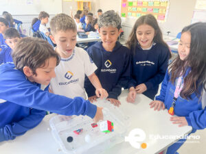 Afunda ou Flutua - 5º ano-6321