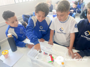 Afunda ou Flutua - 5º ano-6322