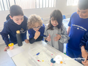 Afunda ou Flutua - 5º ano-6324