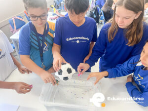 Afunda ou Flutua - 5º ano-6326