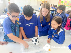 Afunda ou Flutua - 5º ano-6328