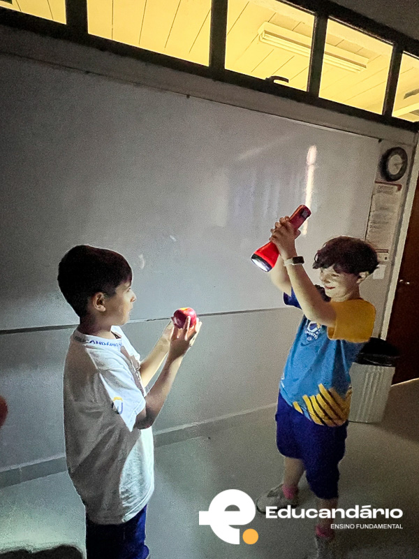 Terra e Sol - 4º ano-6082